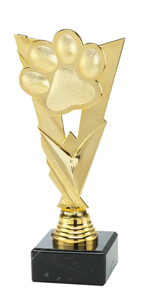 ST.211.01.A